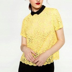 NWOT floral lace blouse in excellent condition